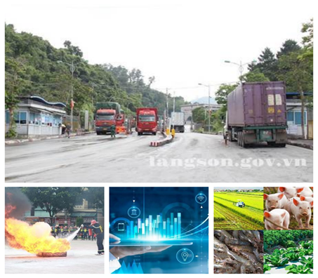Chỉ đạo, điều hành nổi bật của UBND tỉnh, lãnh đạo UBND tỉnh trong tuần (từ ngày 03/8/2026 - 09/8/2026)