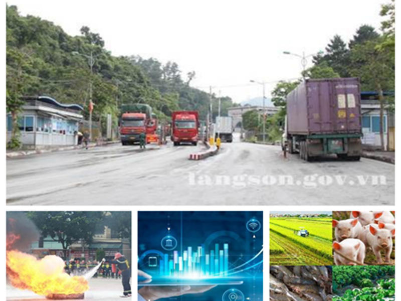 Chỉ đạo, điều hành nổi bật của UBND tỉnh, lãnh đạo UBND tỉnh trong tuần (từ ngày 03/8/2026 - 09/8/2026)