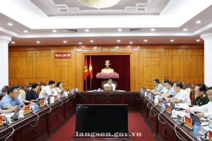 Hội nghị Ban Thường vụ Tỉnh ủy kỳ thứ chín
