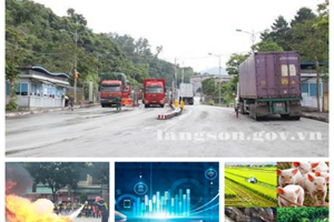 Chỉ đạo, điều hành nổi bật của UBND tỉnh, lãnh đạo UBND tỉnh trong tuần (từ ngày 03/8/2026 - 09/8/2026)